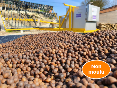 Éveil Résistant.e Pois Chiche (non moulu)